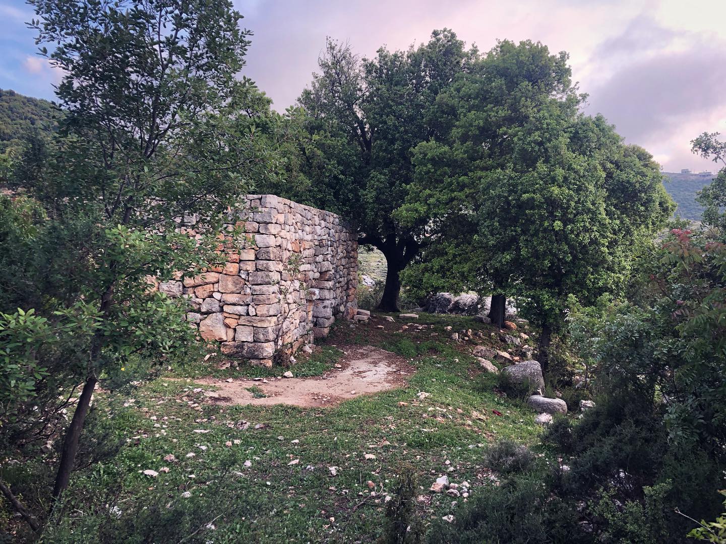 Assia View